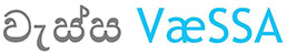 vaessa logo